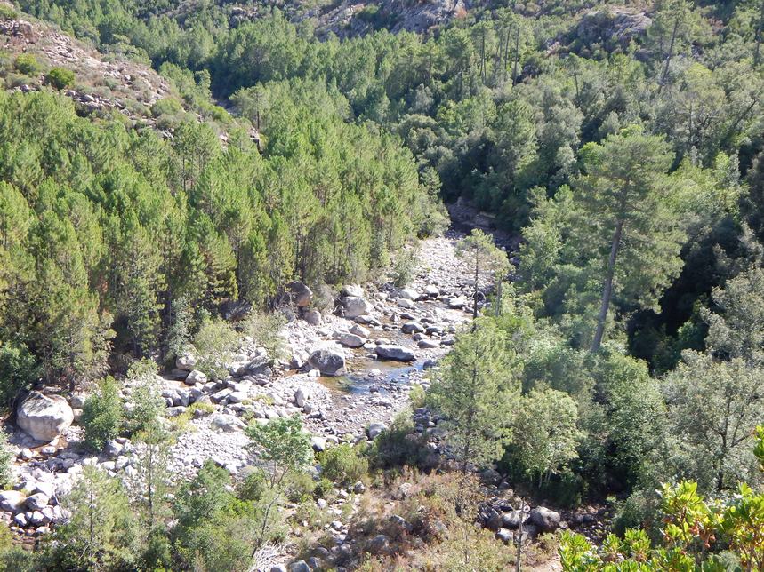 Cours d'eau asséché dans le maquis