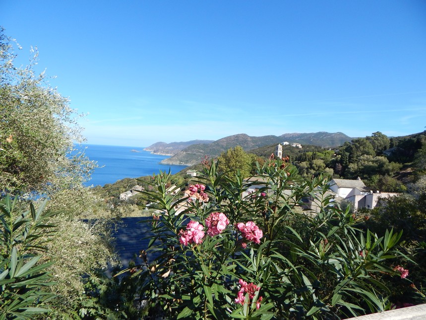 Pino vu du golfe d'Aliso (Cap Corse)